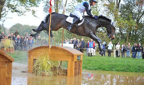 cavalier du mondial du lion