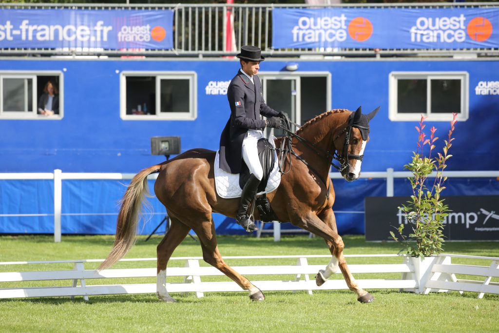 Mondial du Lion  Cavalier Maxime Livio 