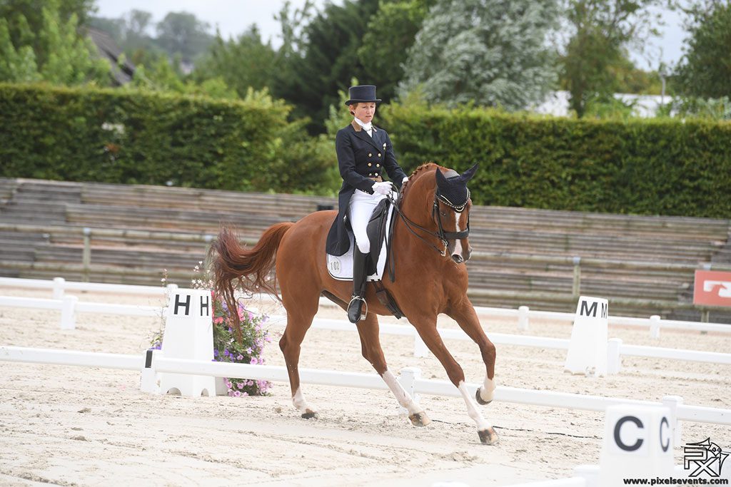 dressage Deauville