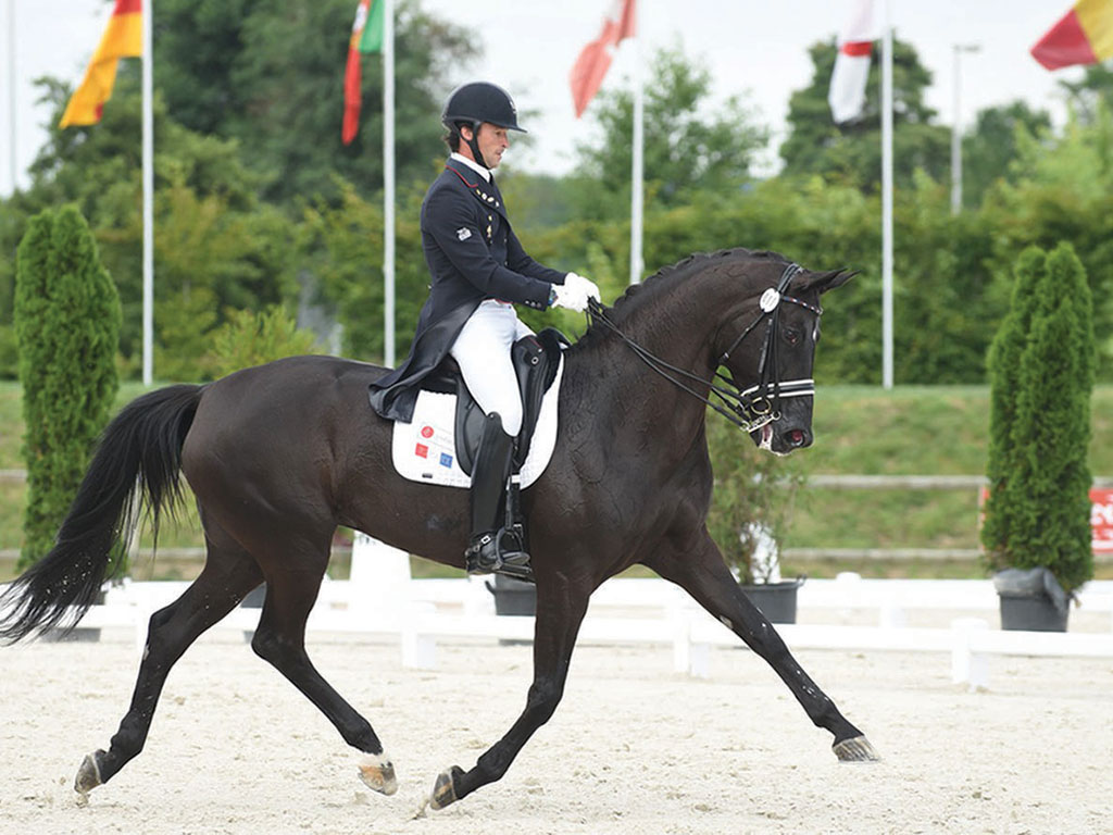 DRESS’IN DEAUVILLE : 20 au 23 Juillet