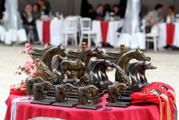 Deauville Arabian Cup au Pôle international du Cheval