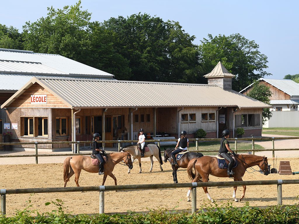 Journée Nationale du Cheval