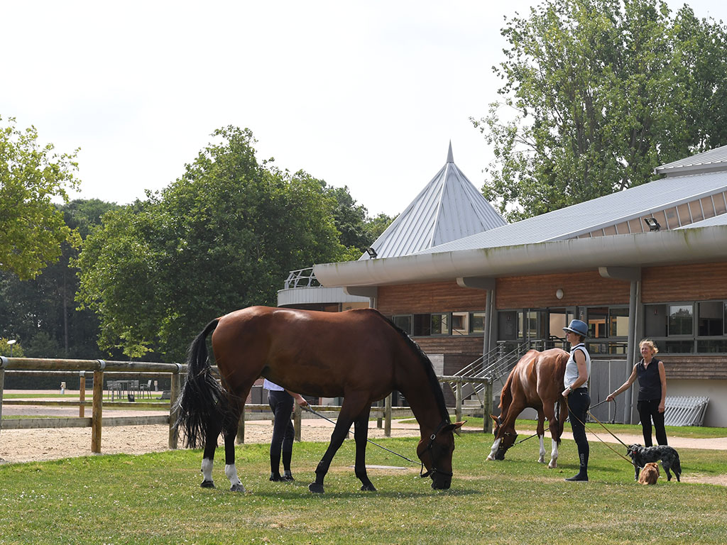 Journée nationale du cheval à Deauville