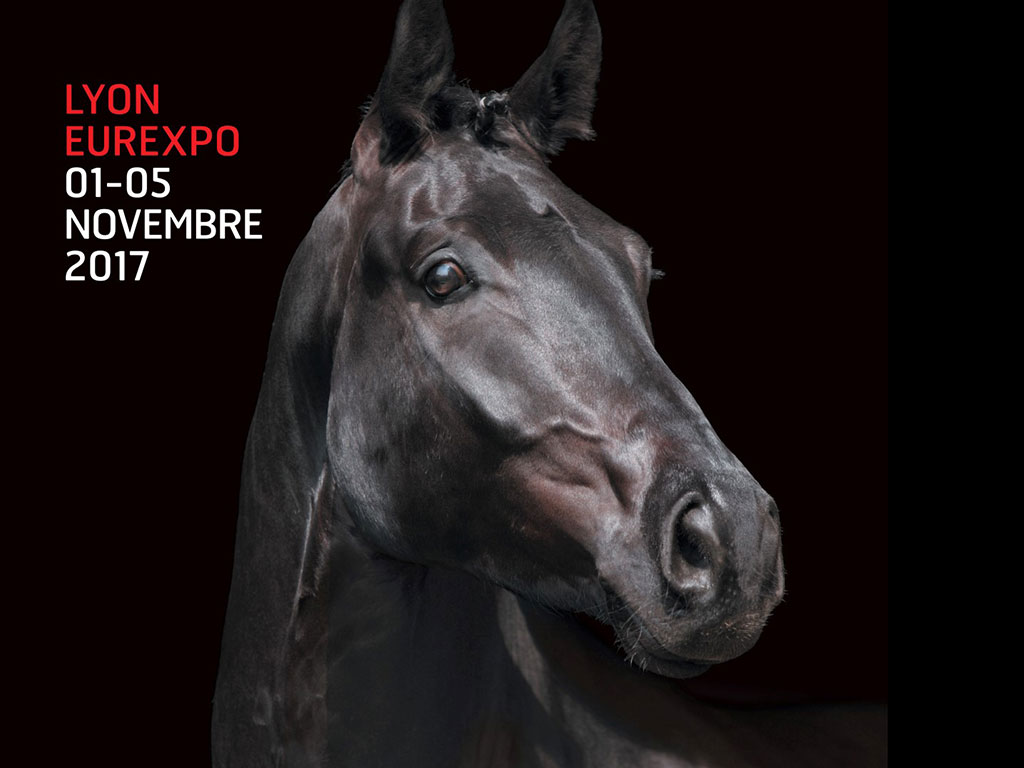EQUITHÈME VOIT GRAND ! 