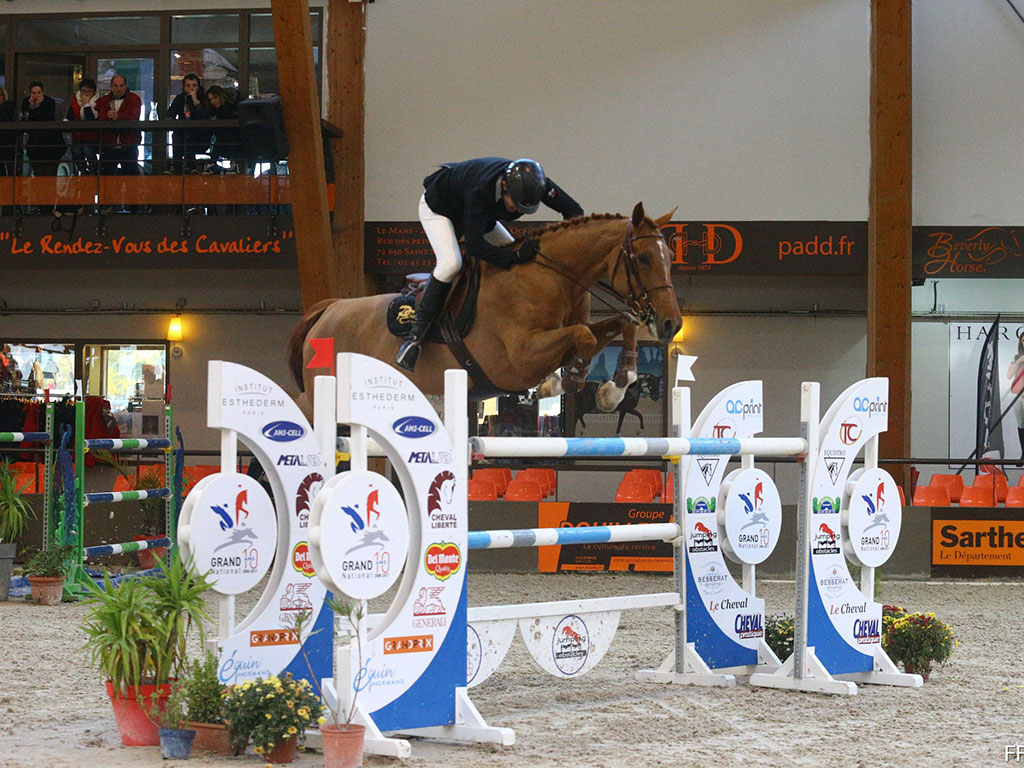 grand national FFE CSO 2017