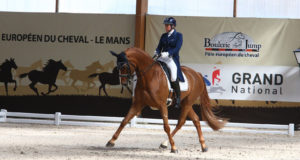 AC Print de dressage