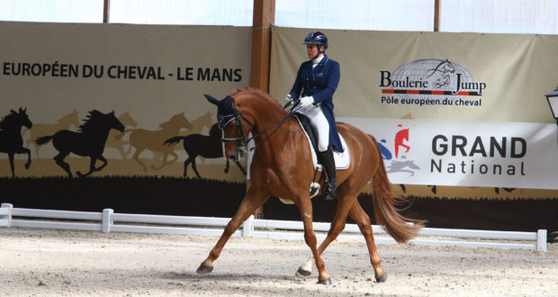 AC Print de dressage