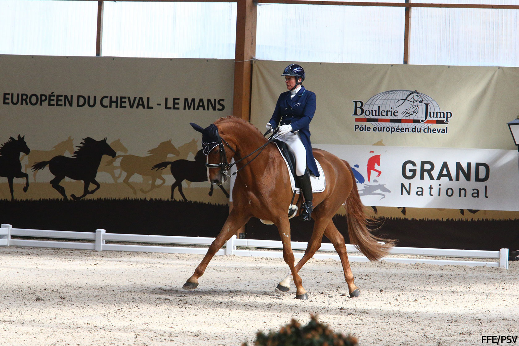 1ère étape du circuit Grand National FFE-AC Print de dressage au Mans