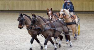 Pôle international du Cheval Longines Attelage Deauville