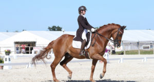 dressage equitation