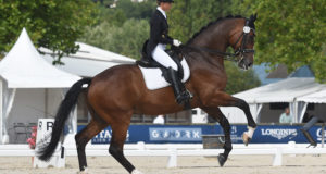 Charlotte Lenherr (SUI) et Sir Stanley W, vainqueurs du Prix Les Vans Barbot – Arion Concierge (CDI2* - Intermédiaire II)