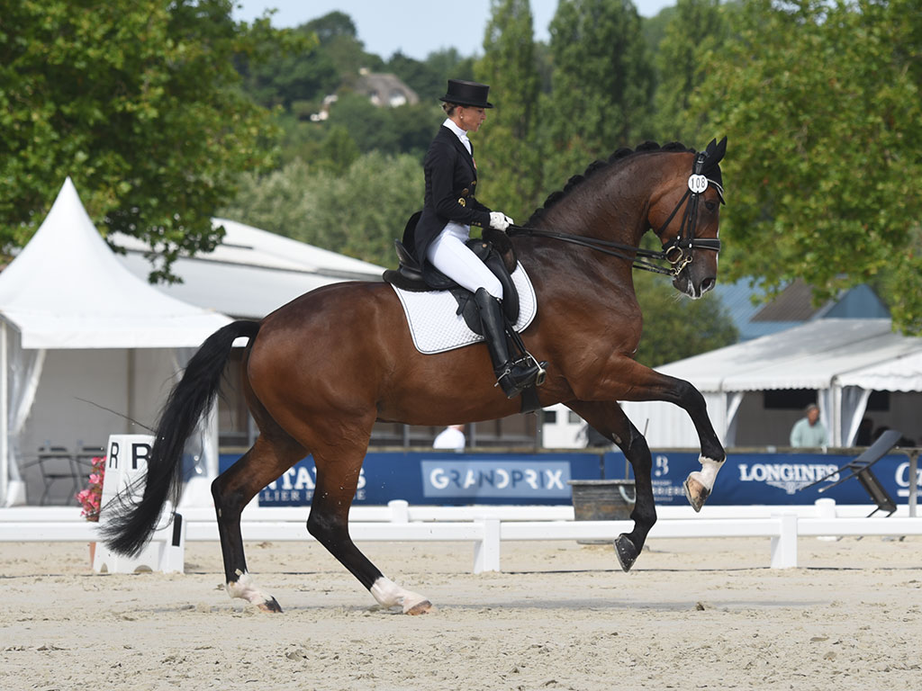 Charlotte Lenherr (SUI) et Sir Stanley W, vainqueurs du Prix Les Vans Barbot – Arion Concierge (CDI2* - Intermédiaire II)