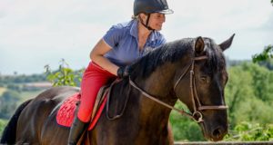 L'équitation : un sport en plein essor en France