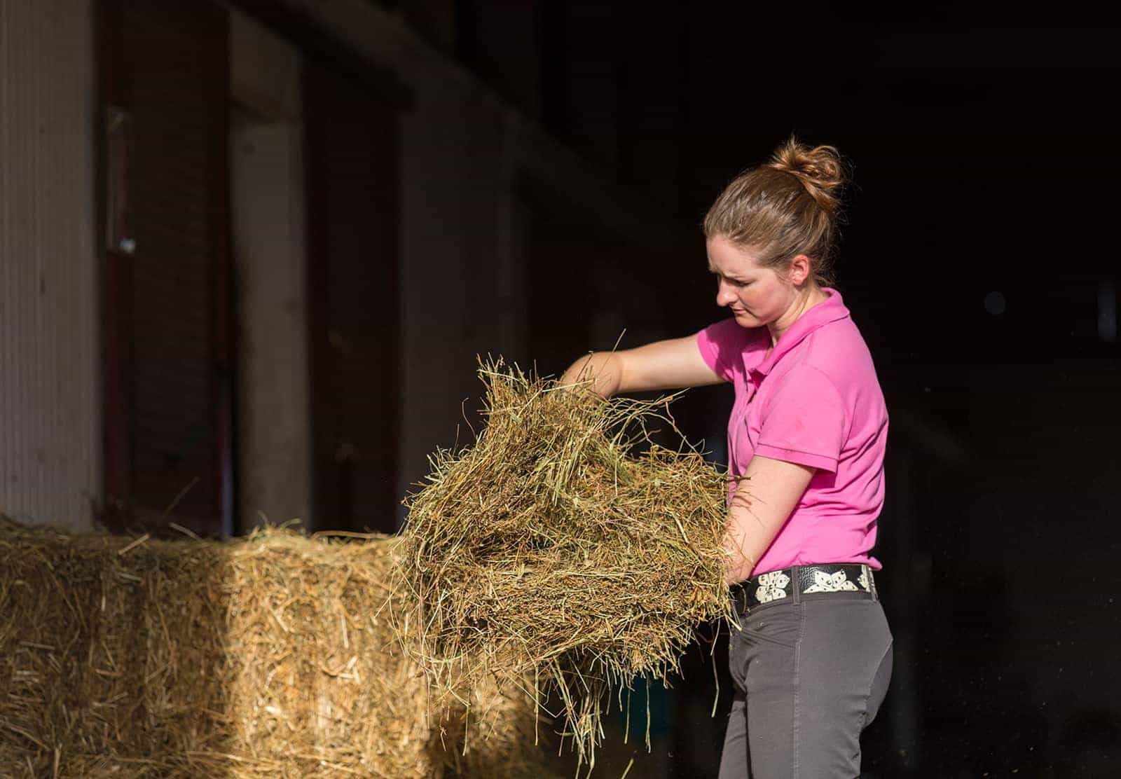 examining flake of hay