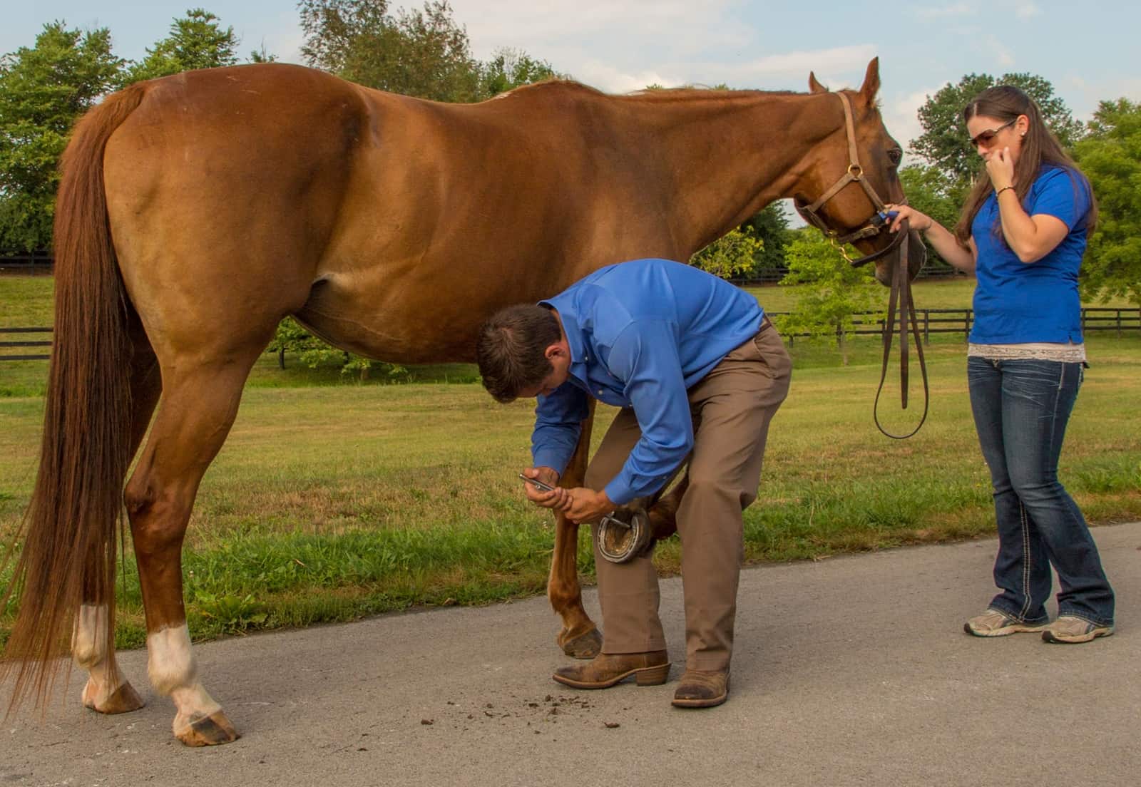 Front Foot Lameness in Horses: Don