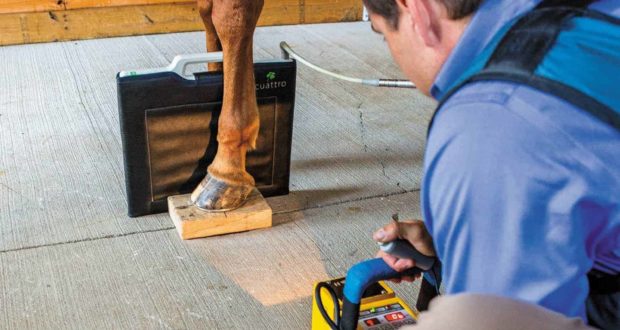 What Diagnostic Imaging Reveals About Your Horse