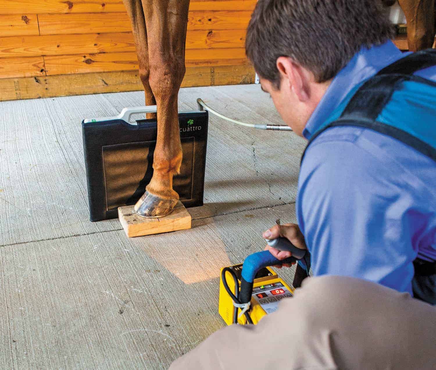 What Diagnostic Imaging Reveals About Your Horse