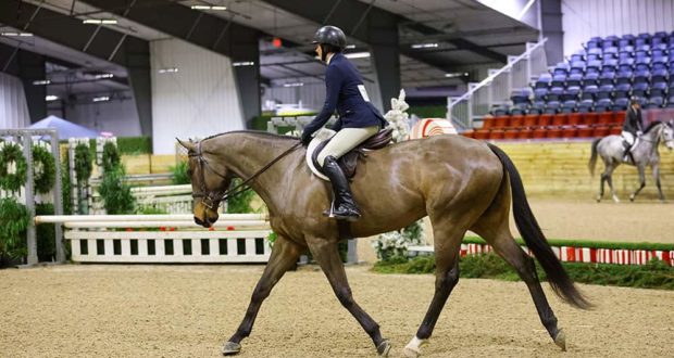 My goal when adding an omega fatty acid supplement to Zion’s winter diet was to have him looking show-ring-ready come spring.