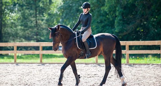 girl riding horse in arena