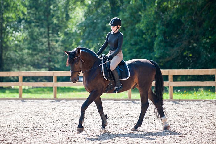 girl riding horse in arena