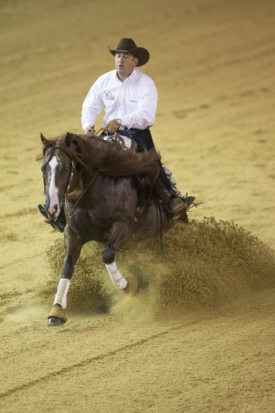 health care for Western performance horses