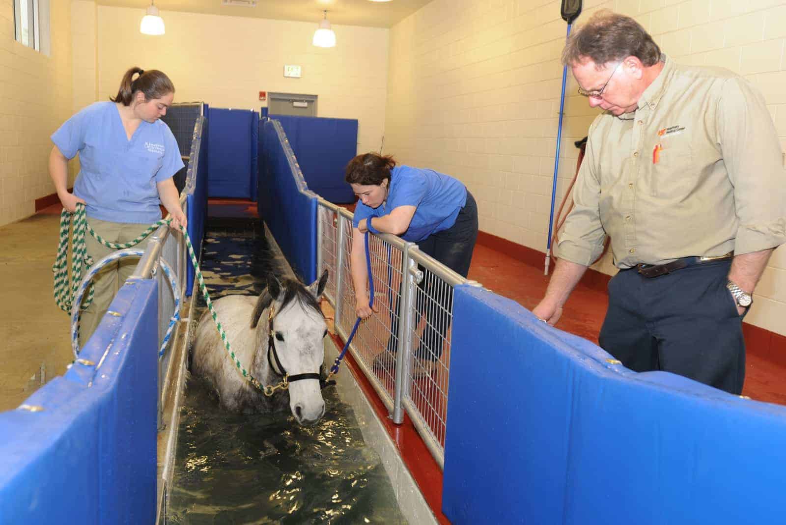 University of Tennessee underwater treadmill