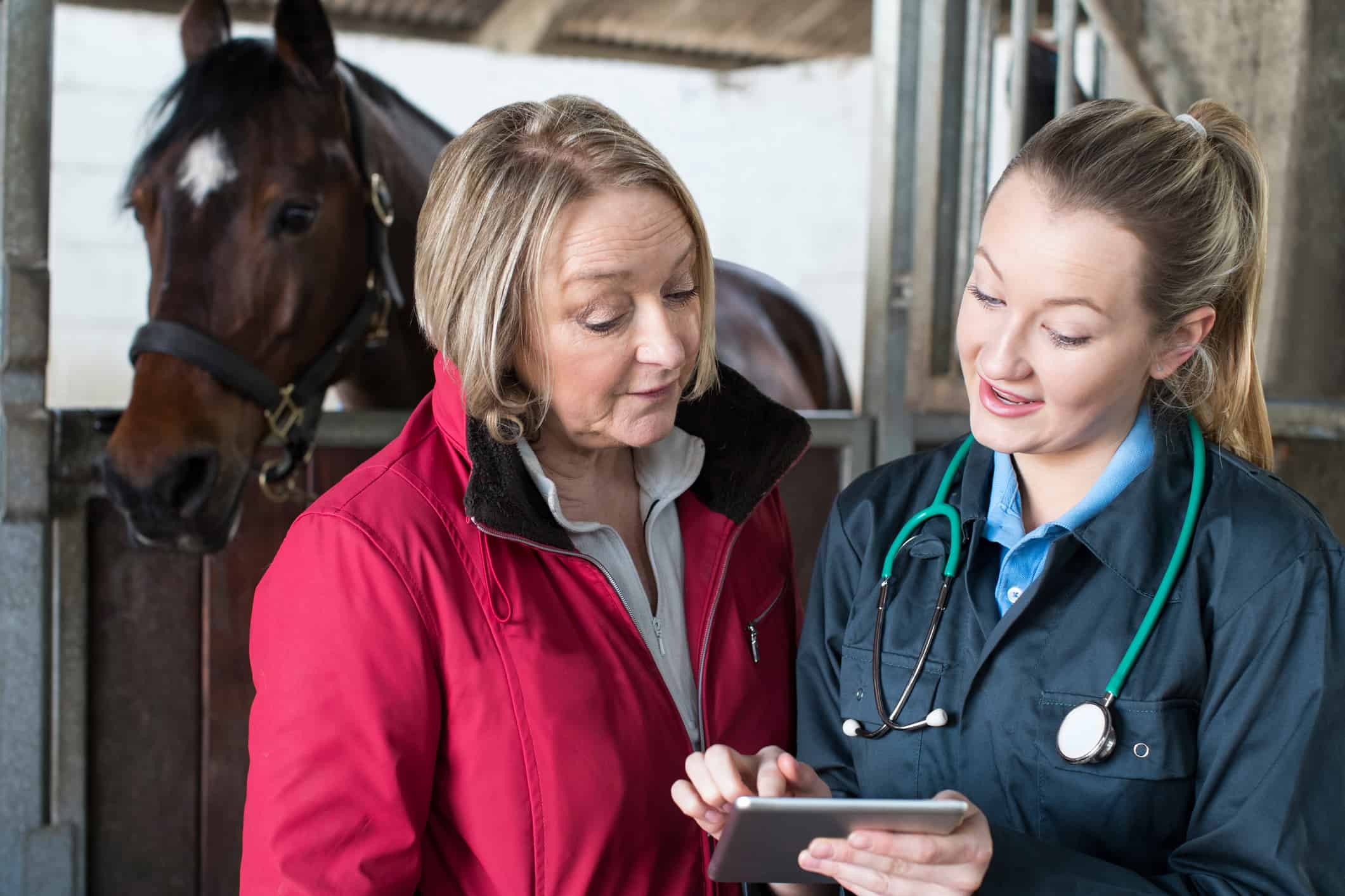 vet and horse owner discussing horse health