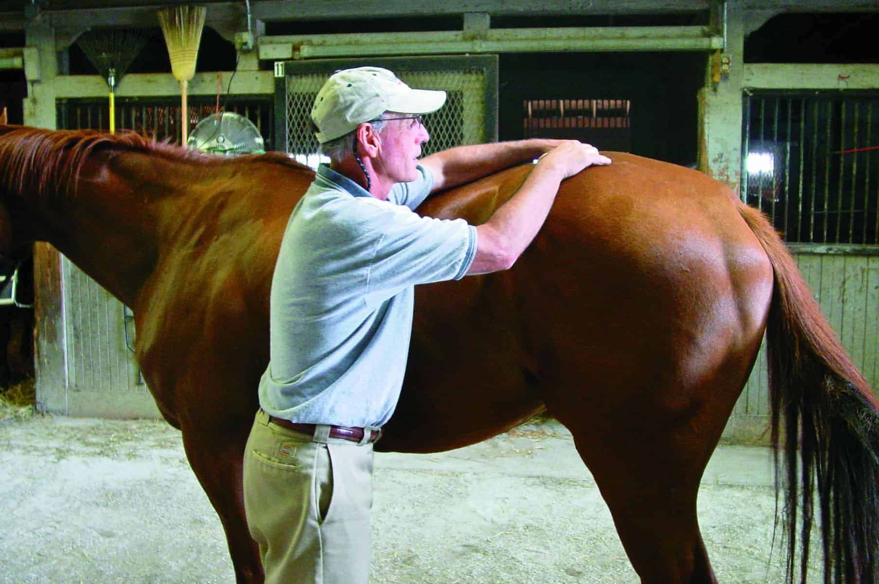 Sacroiliac joint region pain can result in poor performance or behavior problems in sport horses.