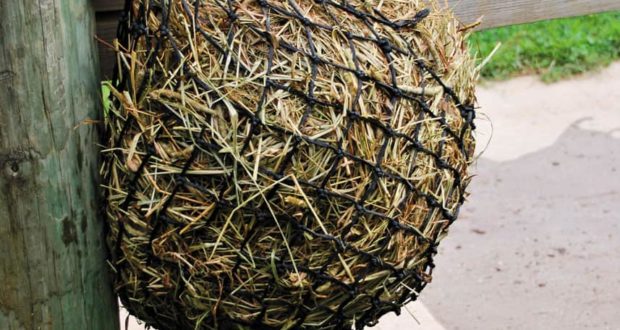 Draining soaked hay in haynet
