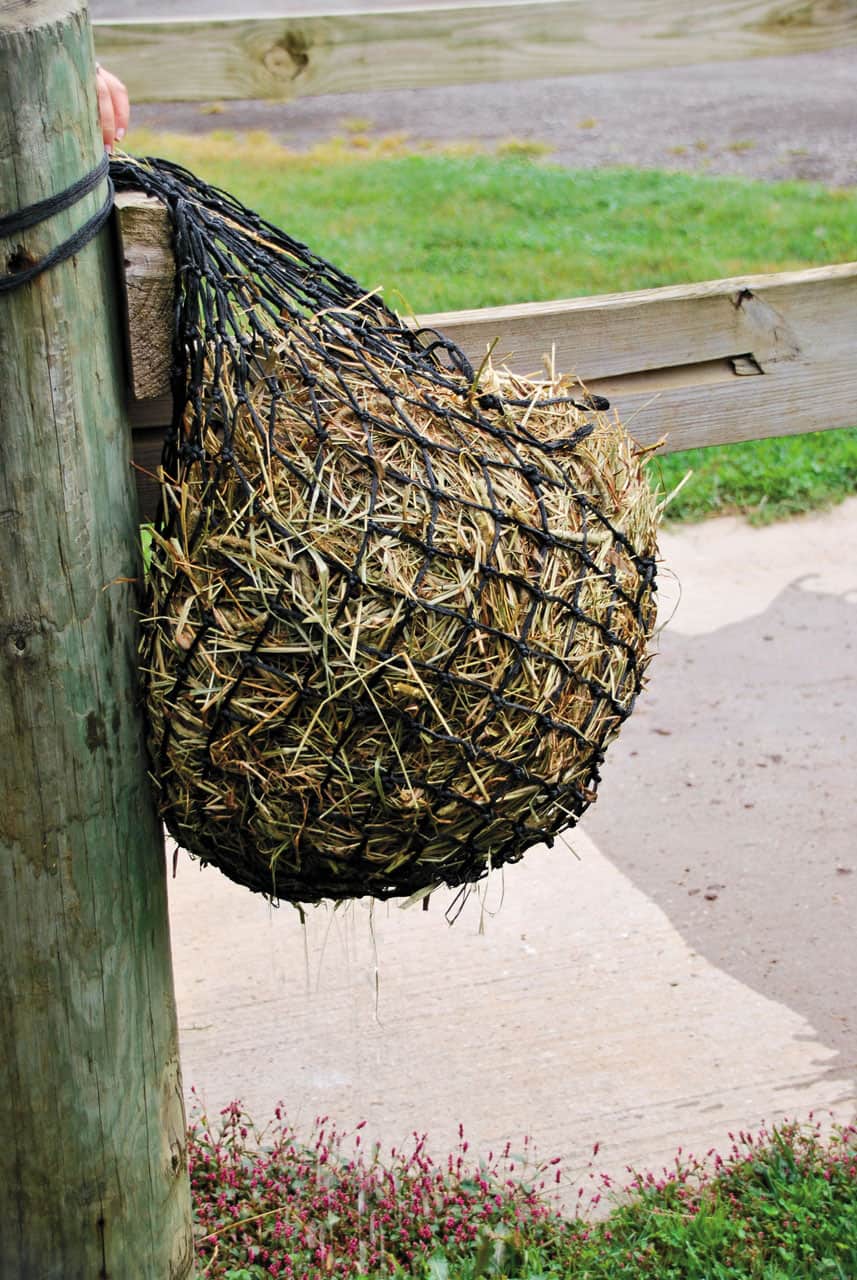 Draining soaked hay in haynet
