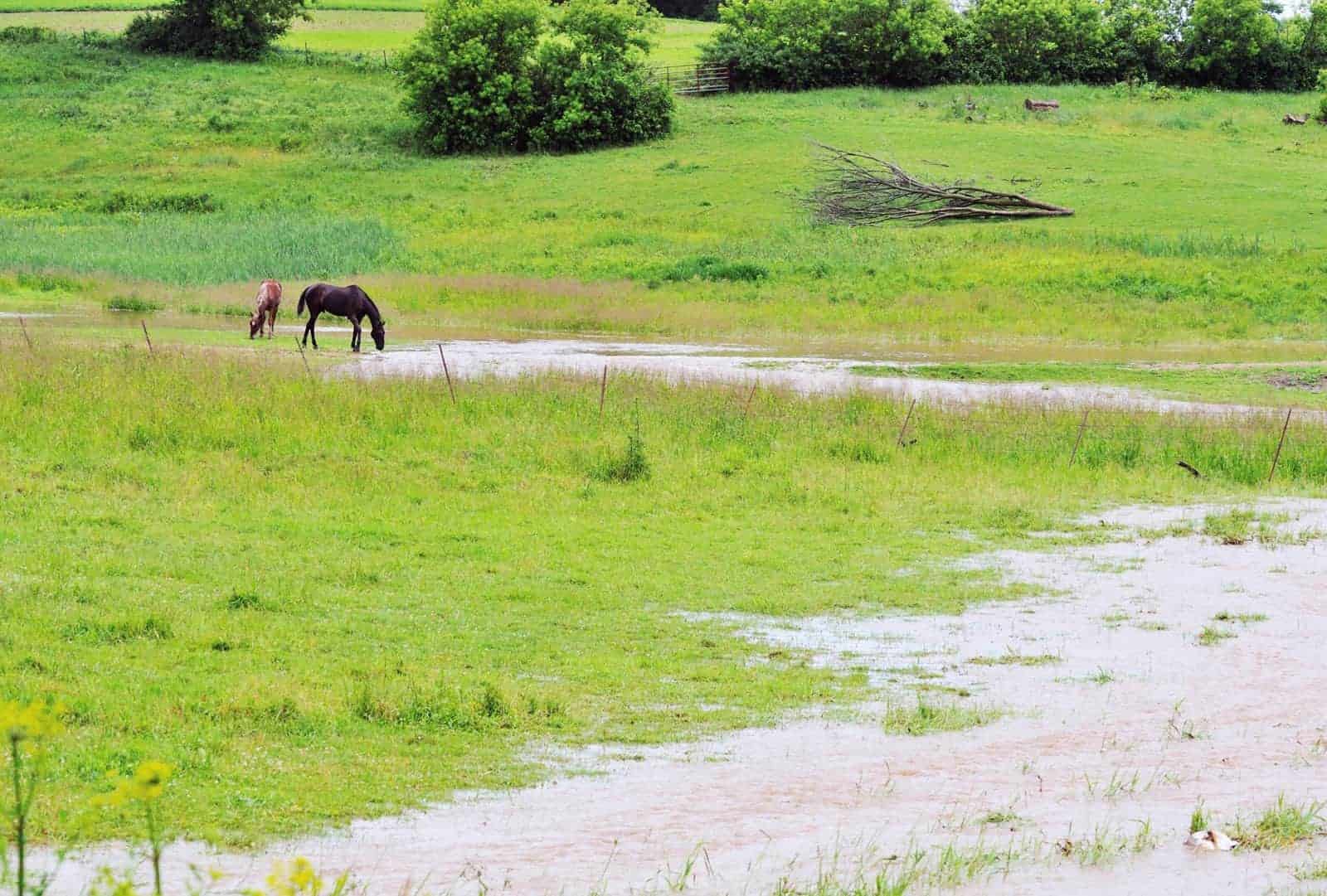 flooding in horse pasture
