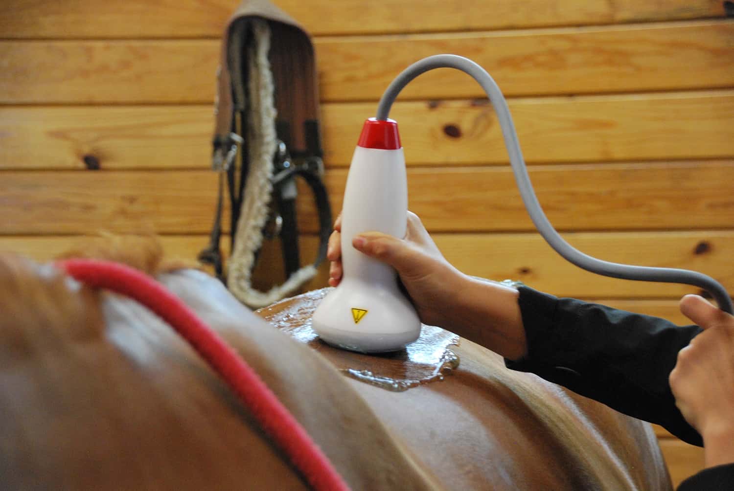 Shock Wave Therapy and Kissing Spines