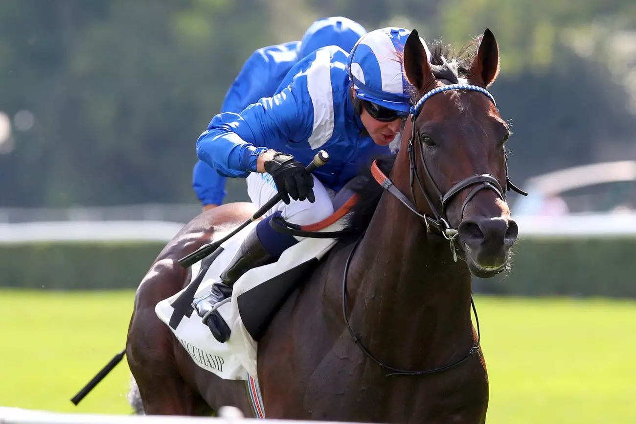 Quel est donc le meilleur cheval du monde ?