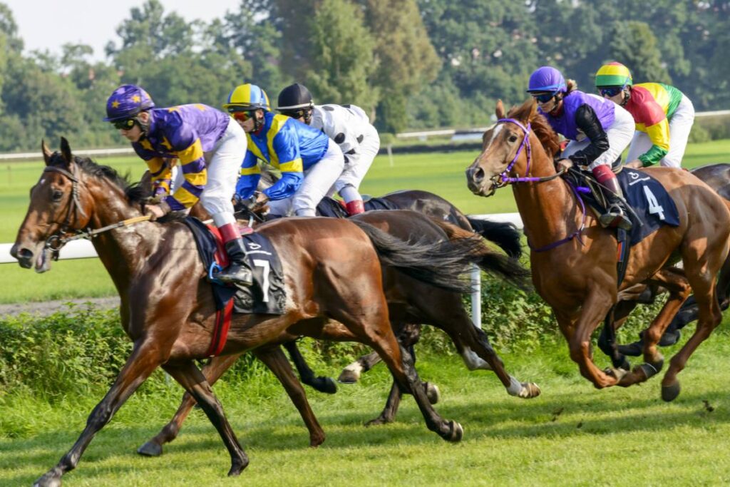 Les chevaux les plus célèbres du monde